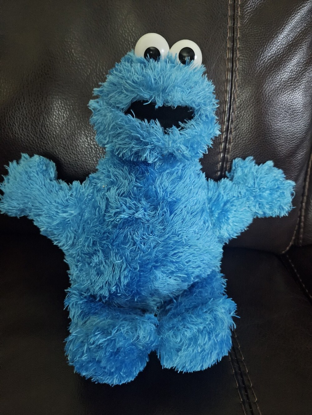 Sesame Street Blue Fuzzy Cookie Monster Plush